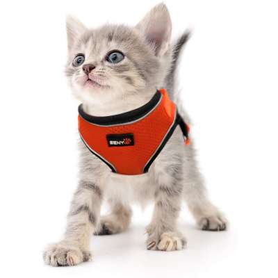 Pets Dog Leads Pet Leashes Adjustable Reflective Vest Puppy Cat Dogs Walking Run Harness Rope